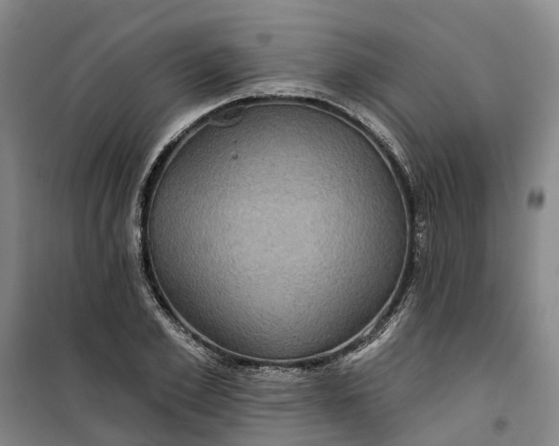 X0000101160981200807111024