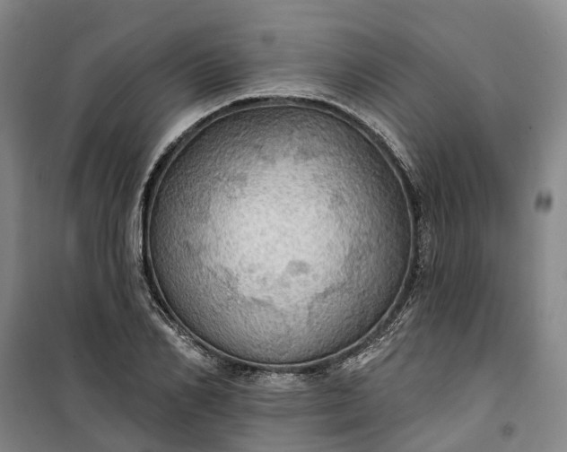 X0000101160982200807111024