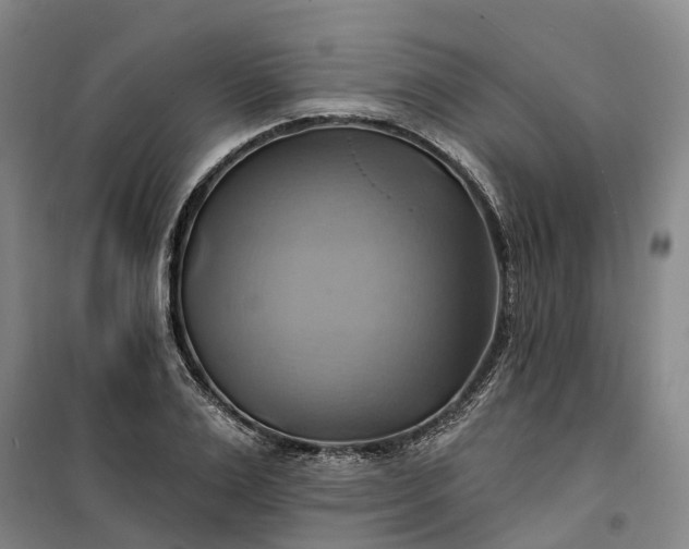 X0000101160983200807111024