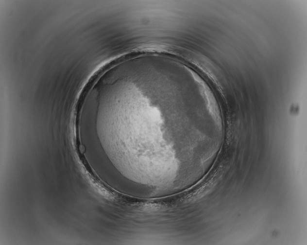 X0000101160984200807111024