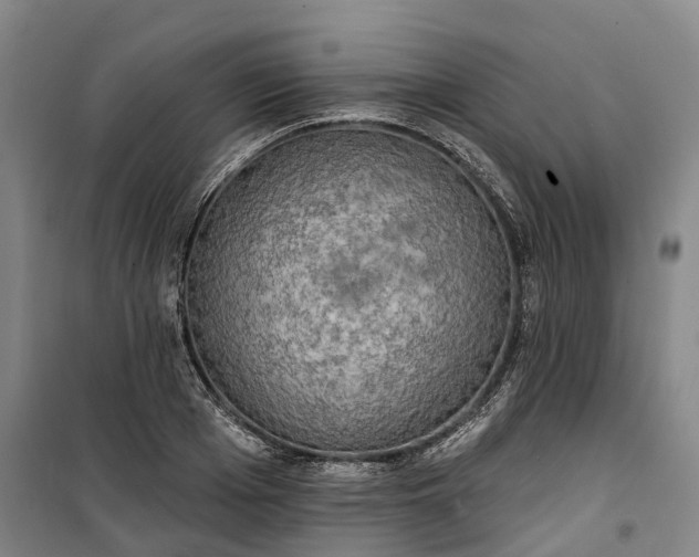 X0000101160985200807111024