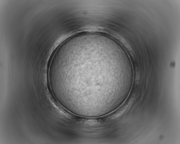 X0000101160986200807111024