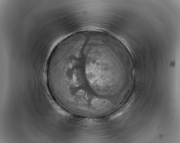 X0000101160987200807111024