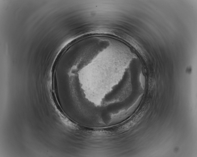 X0000101160988200807111024