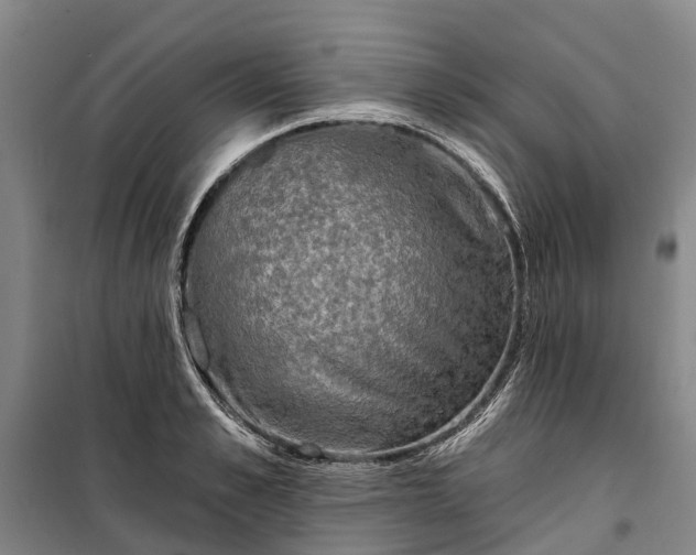 X0000101160989200807111024