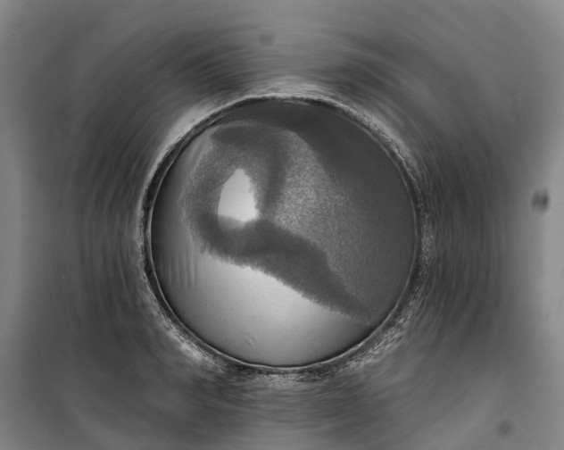 X0000101160990200807111024