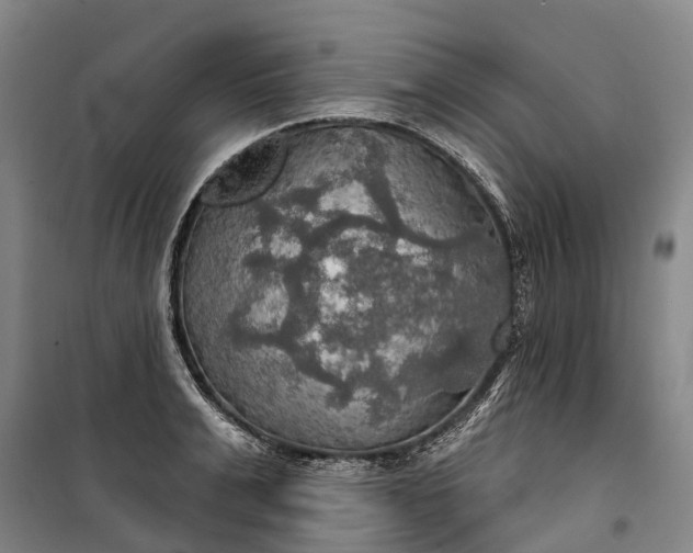 X0000101160991200807111024