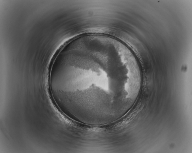 X0000101160992200807111024