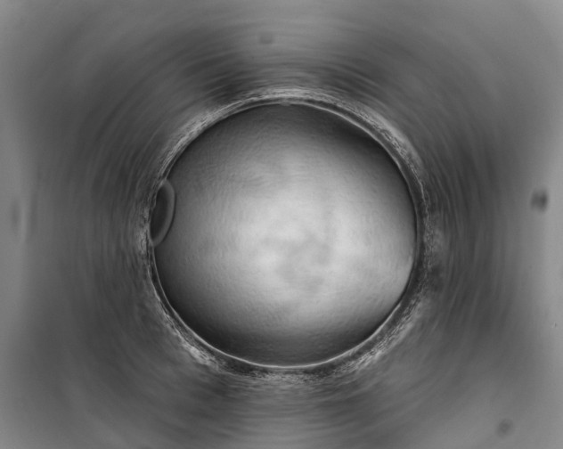 X0000101160993200807111024