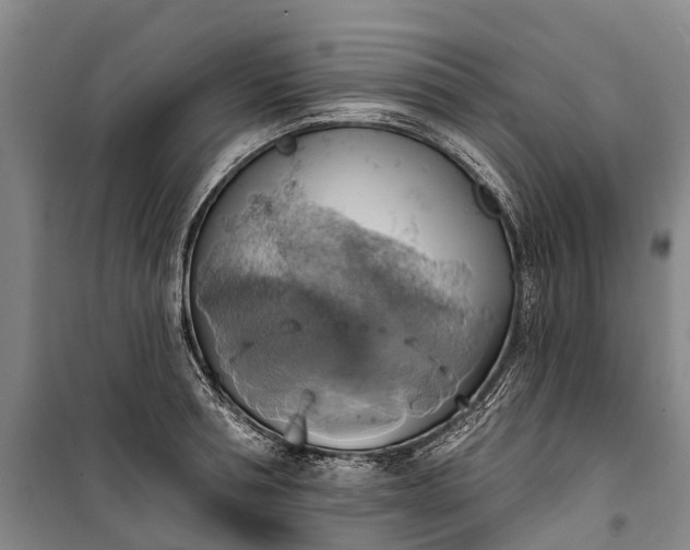 X0000101160994200807111024