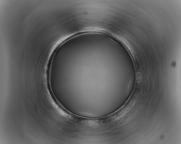 X0000101160995200807111024