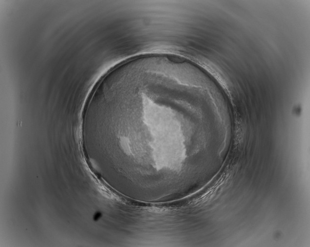 X0000101160996200807111024