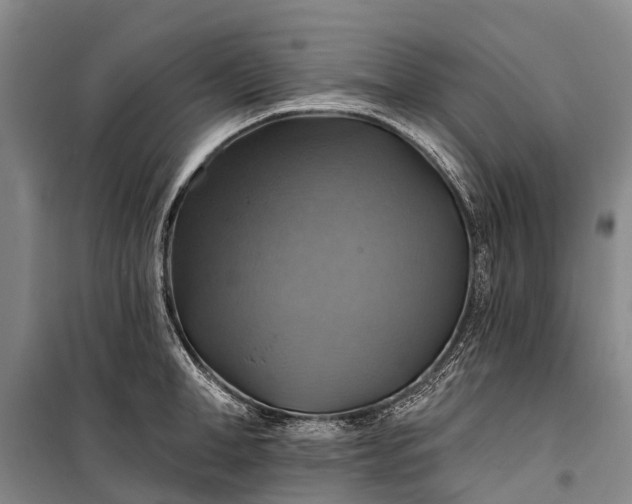 X0000101160998200807111024