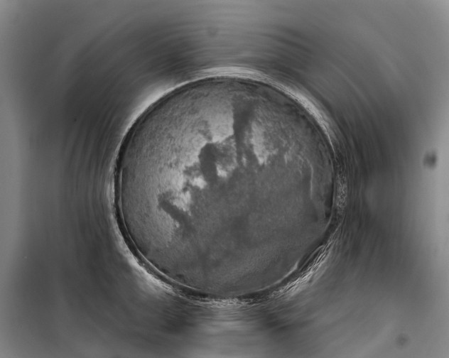 X0000101160999200807111024