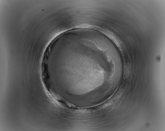 X0000101161000200807111024