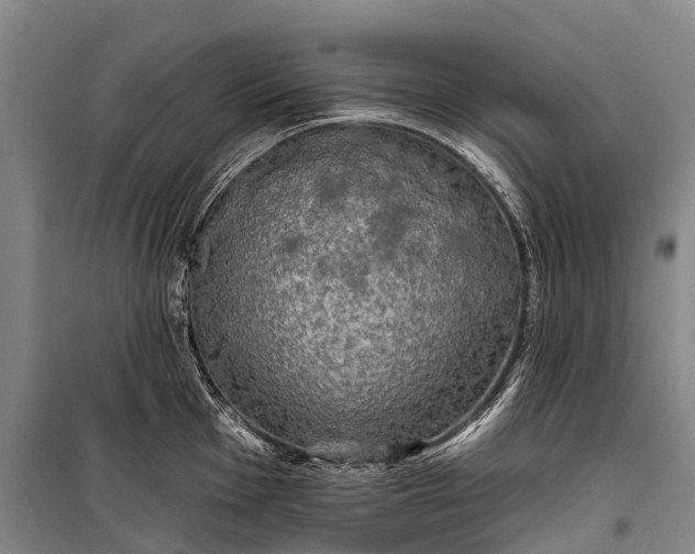 X0000101161001200807111024