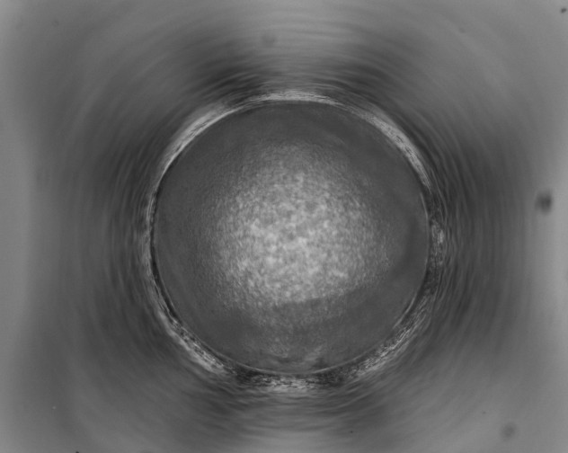 X0000101161002200807111024