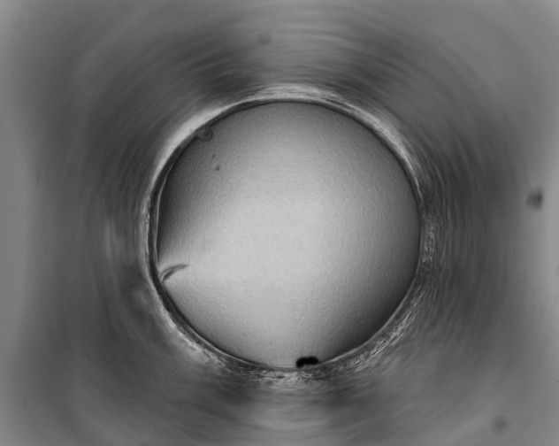 X0000101161003200807111024