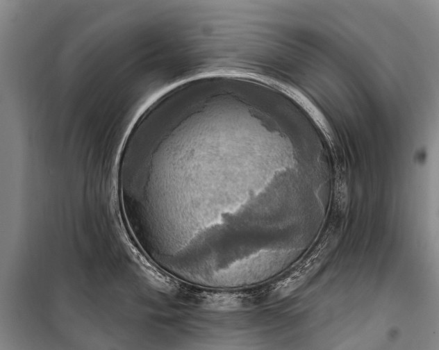 X0000101161004200807111024