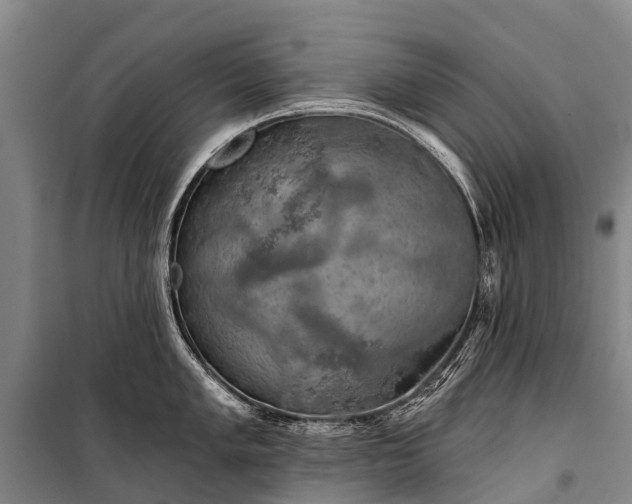 X0000101161005200807111024