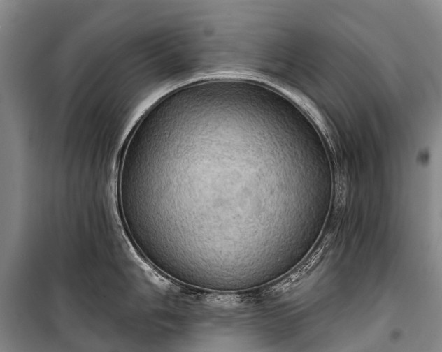 X0000101161006200807111024