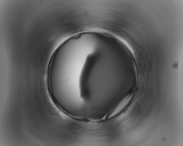 X0000101161007200807111024