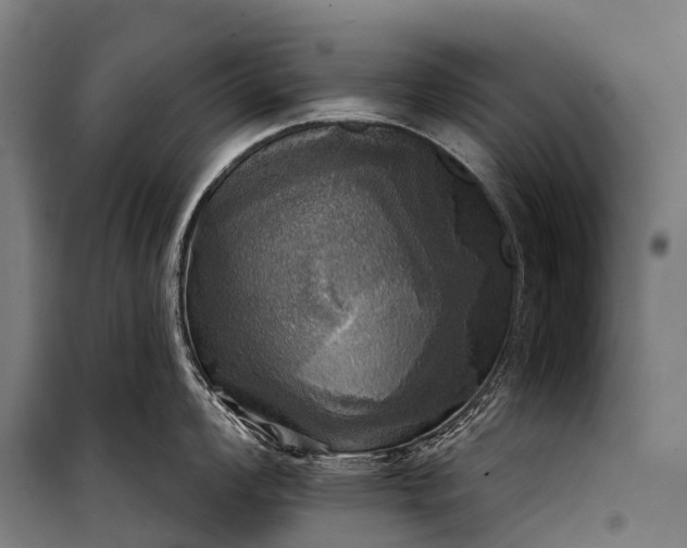 X0000101161008200807111024