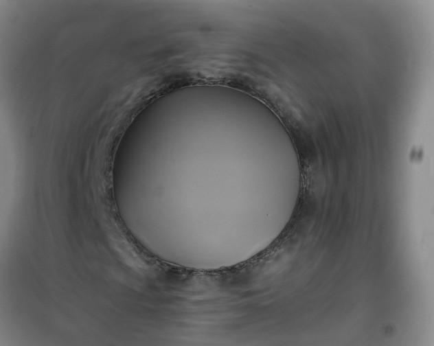 X0000101161009200807111023