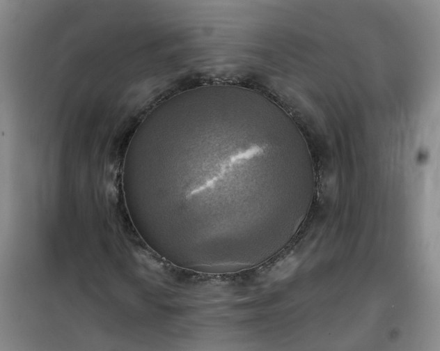 X0000101161010200807111023