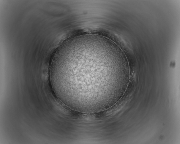 X0000101161012200807111023