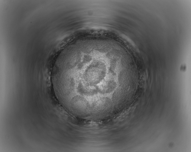 X0000101161013200807111023