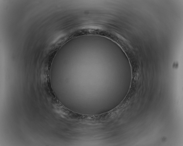 X0000101161014200807111023