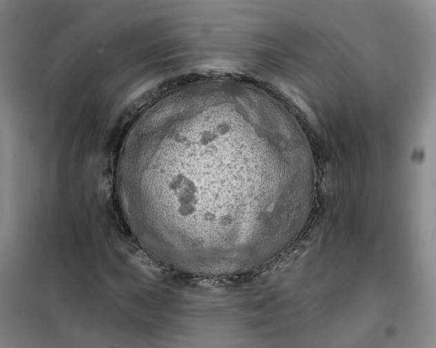 X0000101161015200807111023