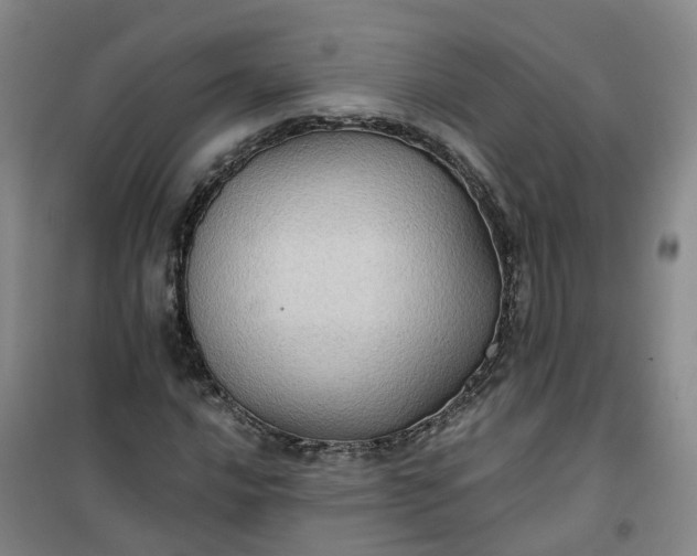 X0000101161016200807111023