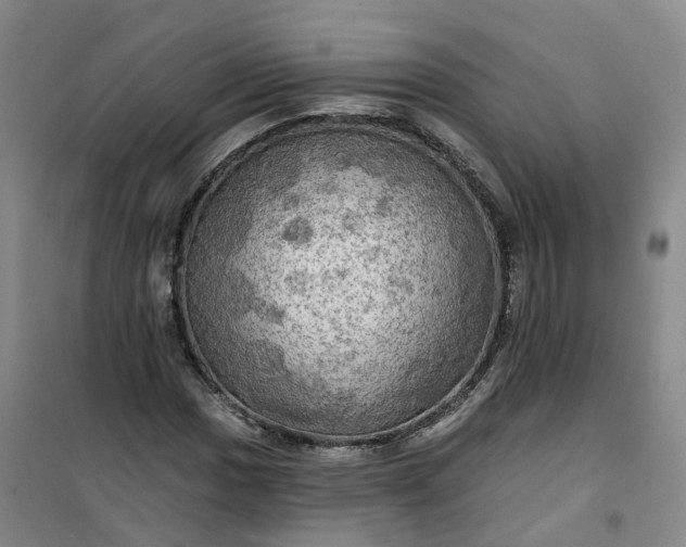 X0000101161017200807111023