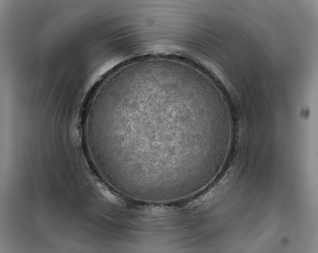 X0000101161018200807111023