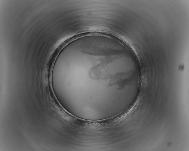 X0000101161019200807111023