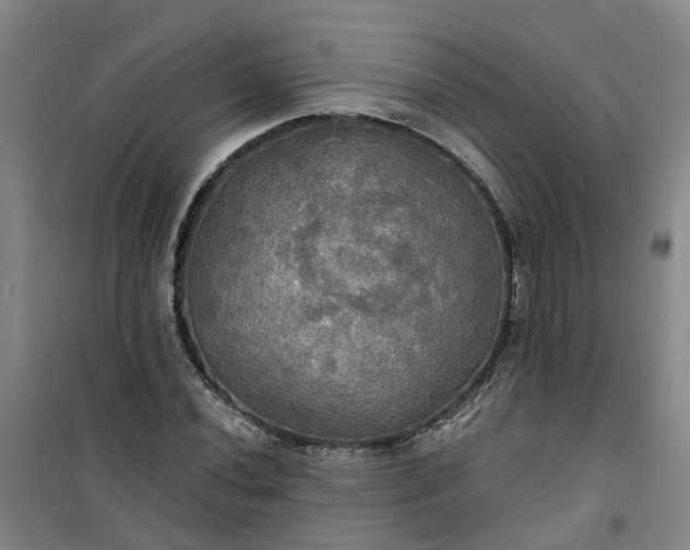 X0000101161020200807111023