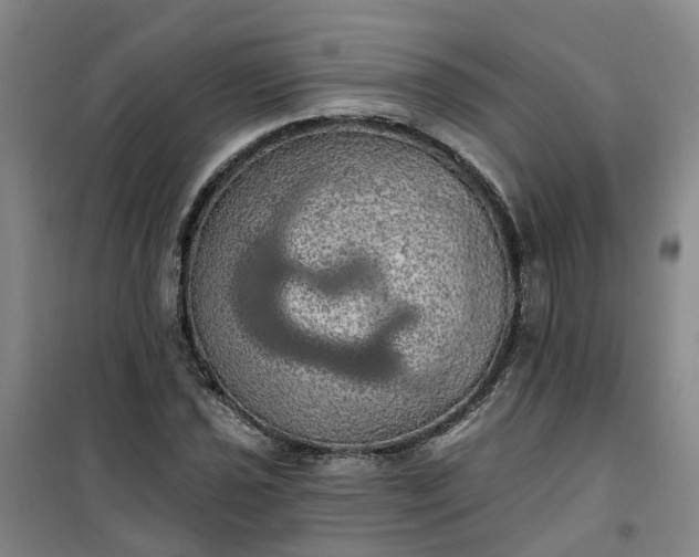 X0000101161021200807111023