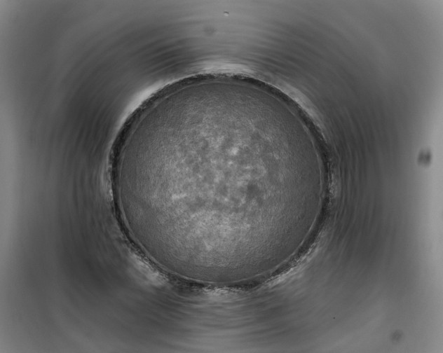 X0000101161022200807111023