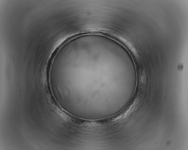 X0000101161023200807111023