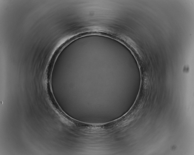 X0000101161024200807111023