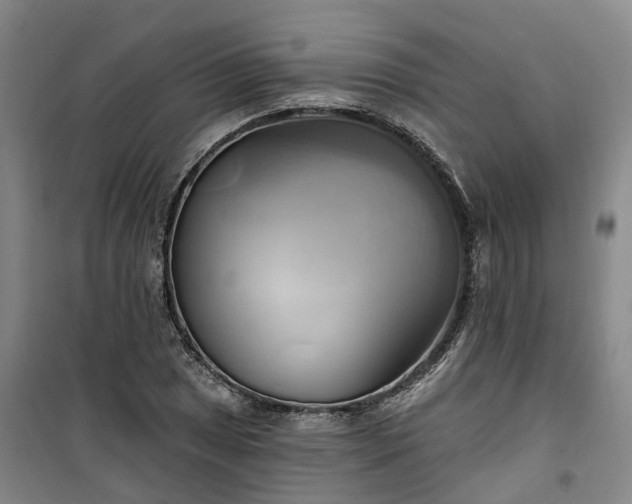 X0000101161025200807111023