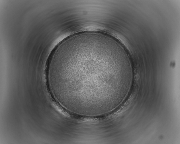 X0000101161026200807111023