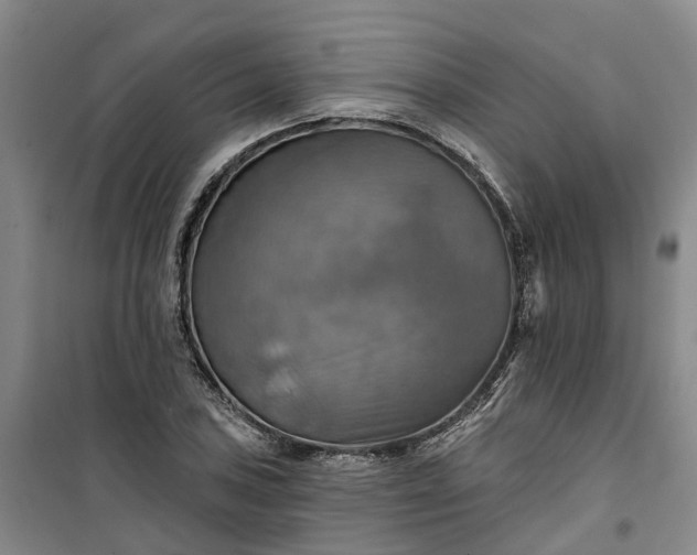 X0000101161027200807111023