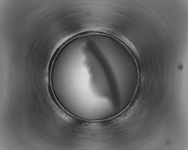 X0000101161028200807111023