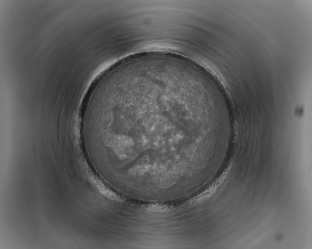 X0000101161029200807111023