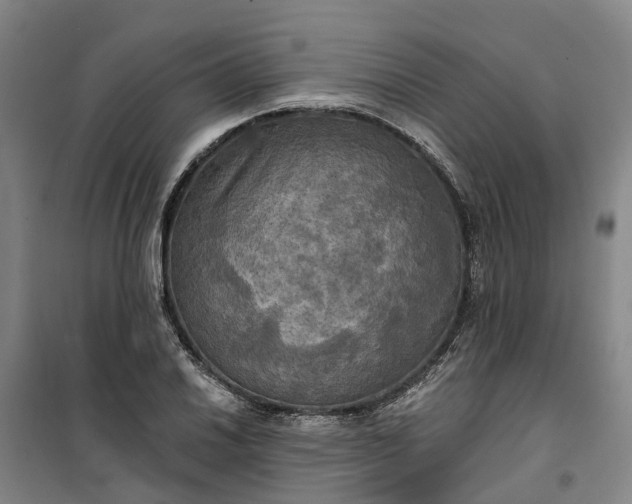 X0000101161030200807111023