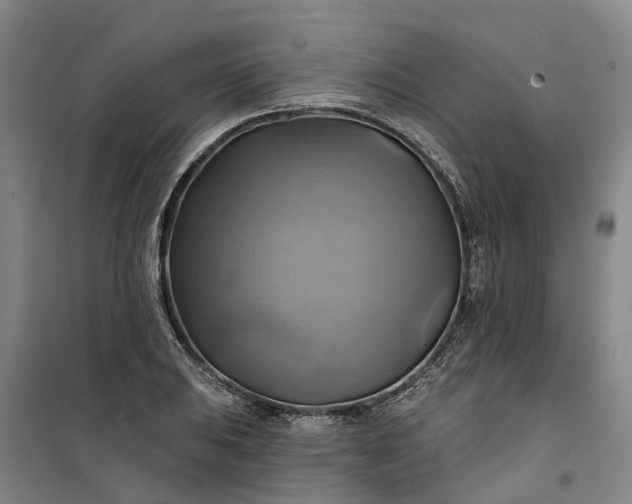 X0000101161031200807111023