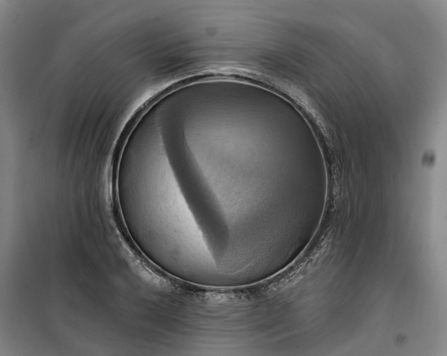 X0000101161032200807111023